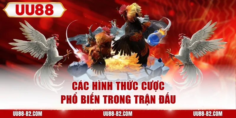 Các hình thức cược phổ biến trong trận đấu